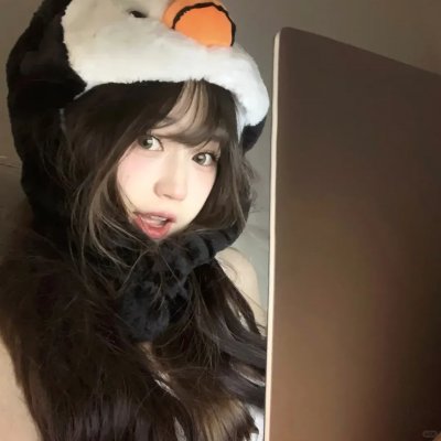 中华熊猫